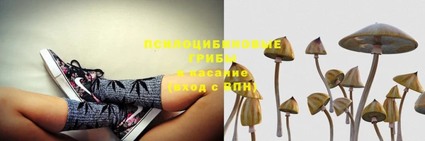 ГАЛЛЮЦИНОГЕННЫЕ ГРИБЫ Новодвинск