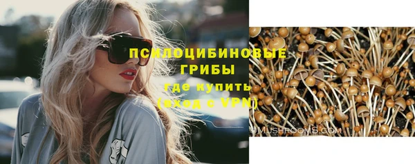 гидропоника Алексеевка