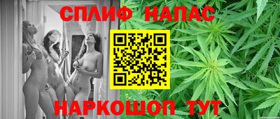 твердый Пугачёв