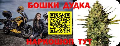 МДПВ Пушкино