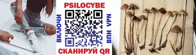 Галлюциногенные грибы Cubensis  Тамбов 