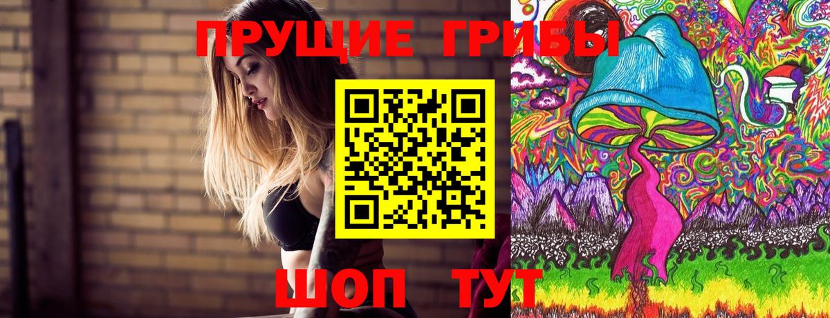 Галлюциногенные грибы мухоморы  дарнет шоп  Тамбов  Вход с VPN 